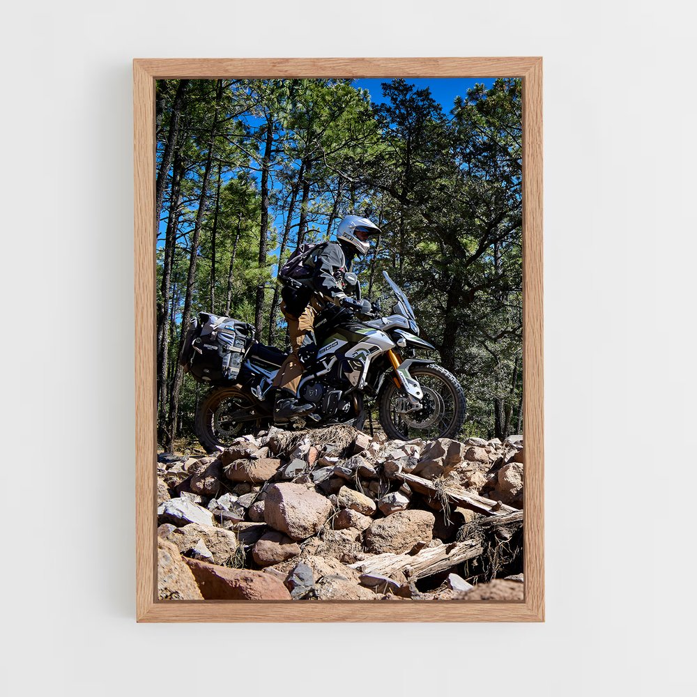 Poster majestueux Tiger rally – affiche Triumph (vue 4)